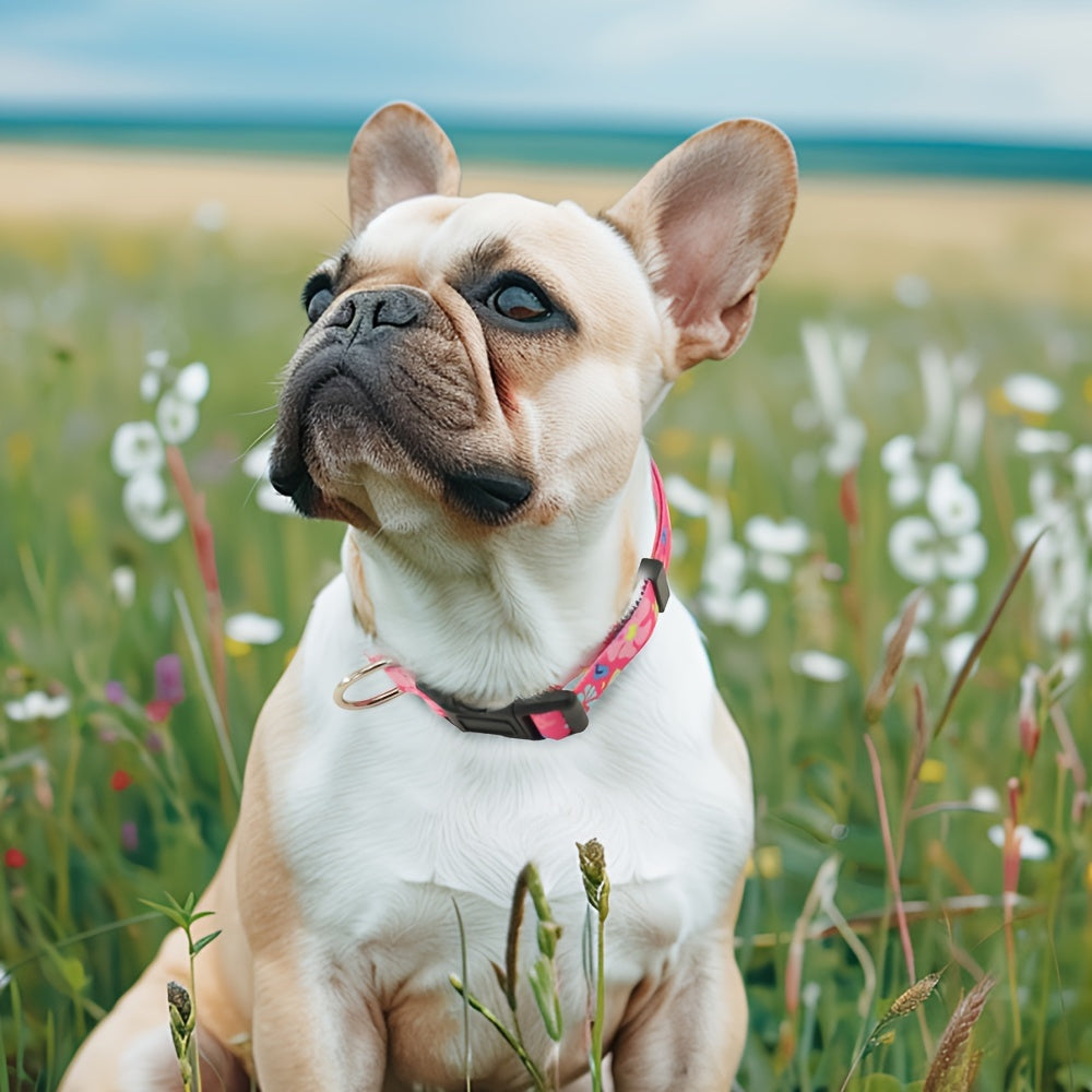 Adjustable Dog Collar with Leash Set, Comfortable Polyester Dog Collar for Small, Medium, Large Dogs, Durable D-Ring, Quick Release Buckle, Heat Transfer Pattern, Pet Supplies