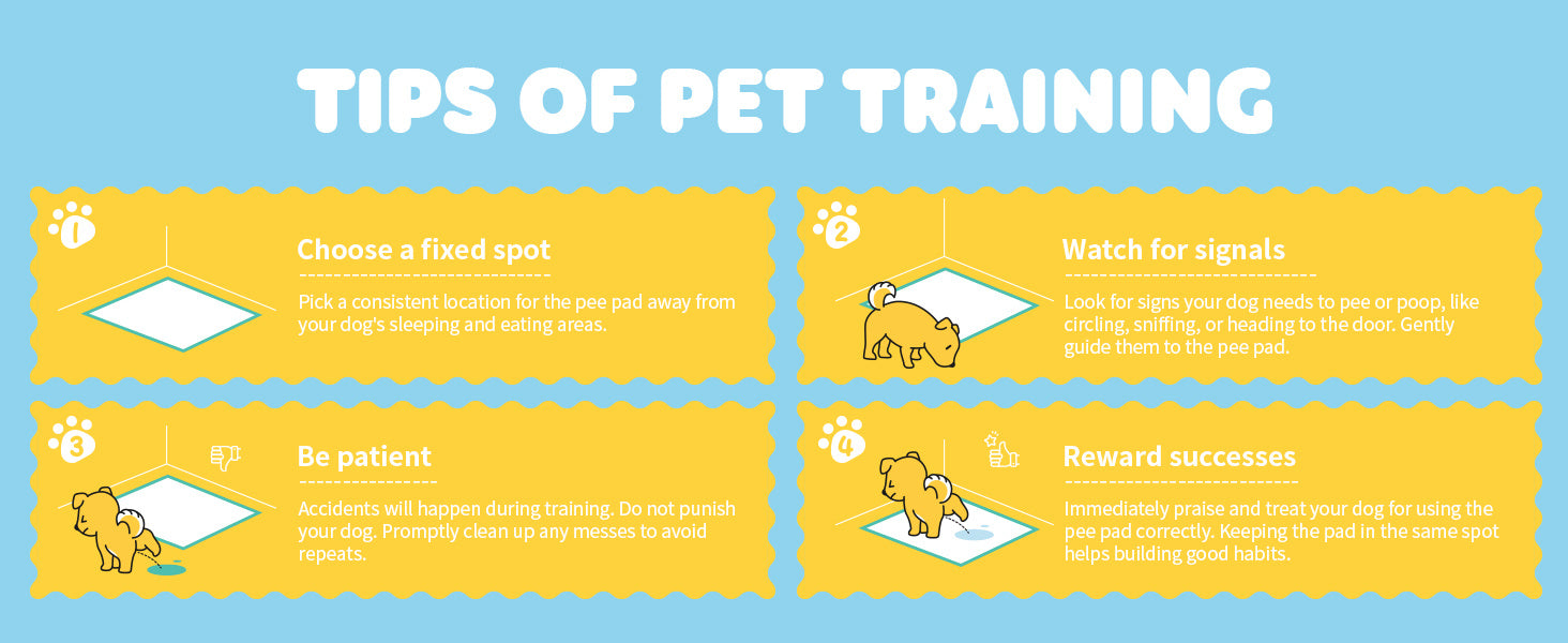 400-100pcs 24" X 24" Extra Large Super Absorbent Dog Urine Pad - Leak-proof, Odor-proof, Disposable Pet Urine Pad, Convenient For Training And Accidents - Perfect For Dogs, Puppies, Cats, Different Pet Urine Pads, Pet Supplie