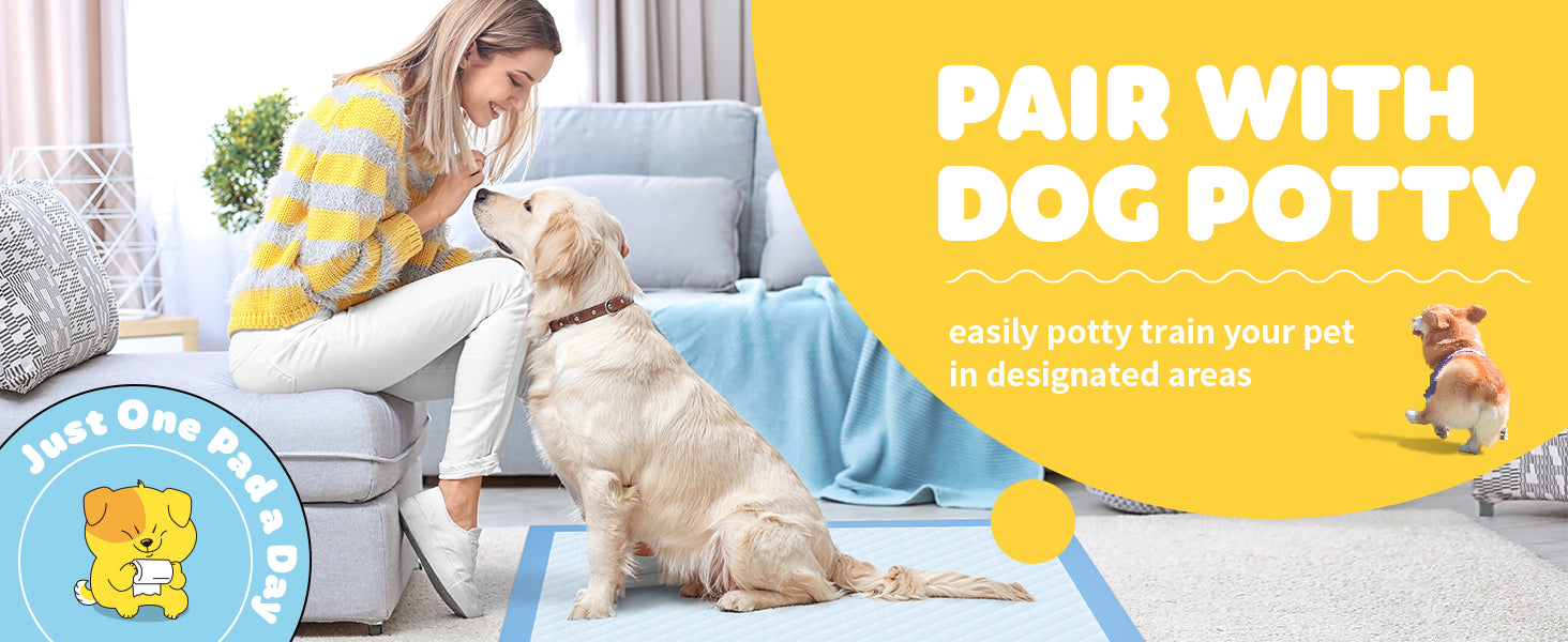400-100pcs 24" X 24" Extra Large Super Absorbent Dog Urine Pad - Leak-proof, Odor-proof, Disposable Pet Urine Pad, Convenient For Training And Accidents - Perfect For Dogs, Puppies, Cats, Different Pet Urine Pads, Pet Supplie