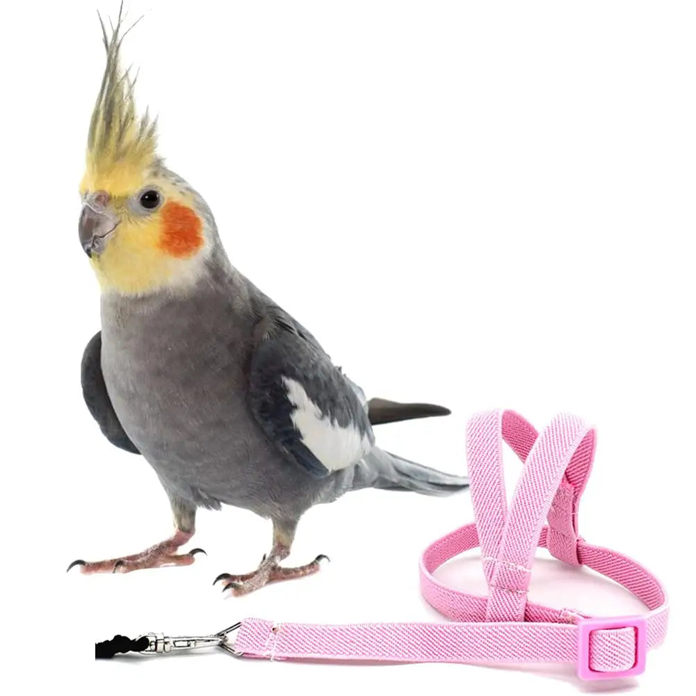 Pet Parrot Bird Harness And Leash Flying Rope Straps Outdoor Training Traction Rope For Budgerigar Cockatiel Supplies