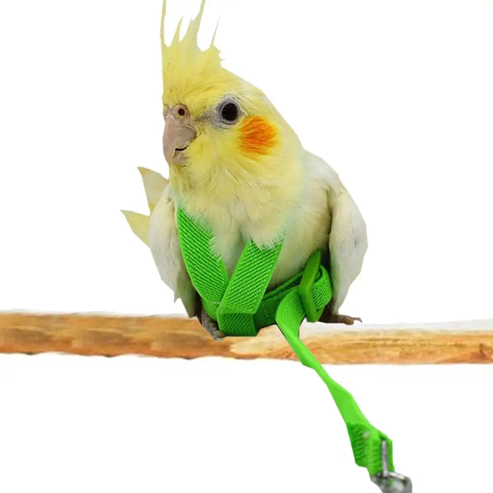 Pet Parrot Bird Harness And Leash Flying Rope Straps Outdoor Training Traction Rope For Budgerigar Cockatiel Supplies