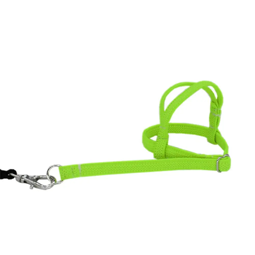 Pet Parrot Bird Harness And Leash Flying Rope Straps Outdoor Training Traction Rope For Budgerigar Cockatiel Supplies