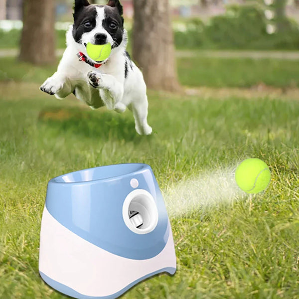 Dog Ball Launcher Auto Thrower 3 Distances Indoor