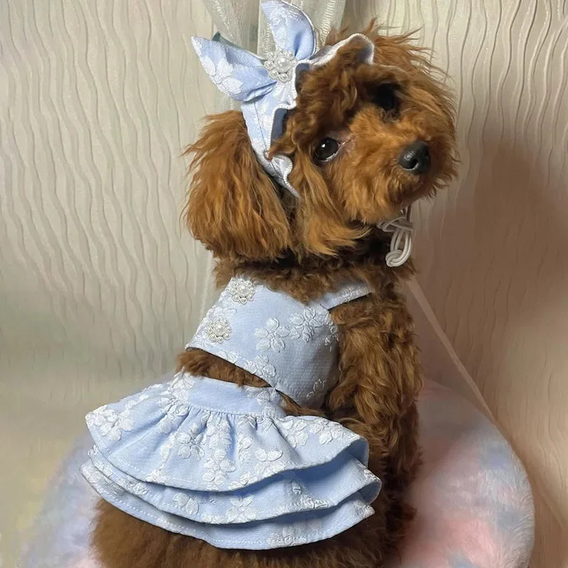 Cute Pet Spring and Summer Clothing Jumpsuit Cat Princess Embroidered Dress Hat Birthday Small Dog Teddy Bear Pet Clothing