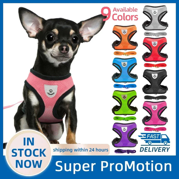 Dog Harness Small Dogs Adjustable Mesh Leash