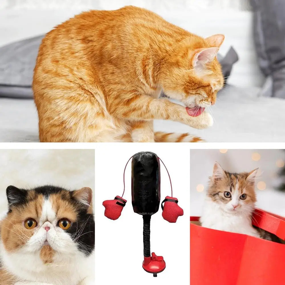 Portable Cat Punching Bag Toy Interactive Indoor Cats Kitten Toy With Gloves Cat Toy For Kitten Pet Cat Supplies