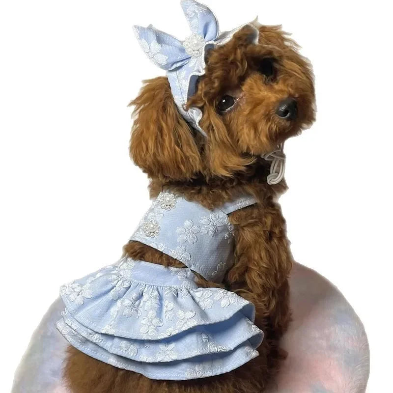 Cute Pet Spring and Summer Clothing Jumpsuit Cat Princess Embroidered Dress Hat Birthday Small Dog Teddy Bear Pet Clothing
