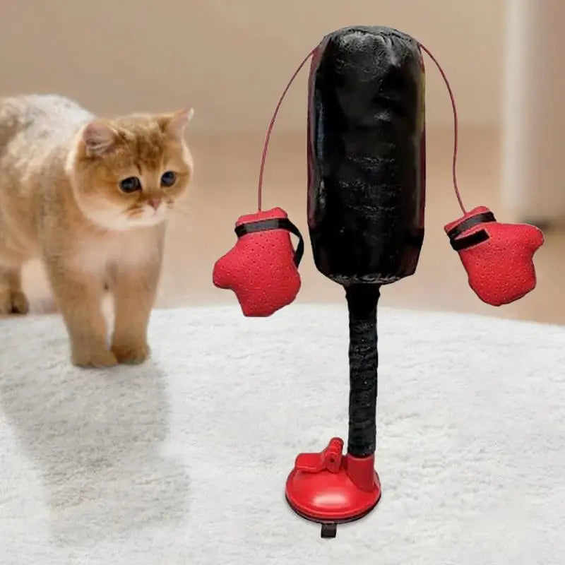 Portable Cat Punching Bag Toy Interactive Indoor Cats Kitten Toy With Gloves Cat Toy For Kitten Pet Cat Supplies