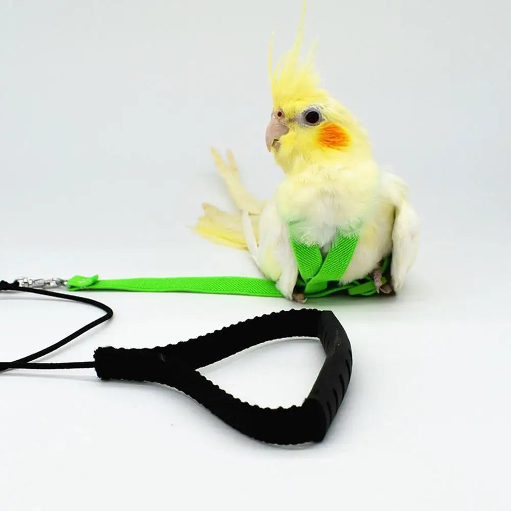 Pet Parrot Bird Harness And Leash Flying Rope Straps Outdoor Training Traction Rope For Budgerigar Cockatiel Supplies