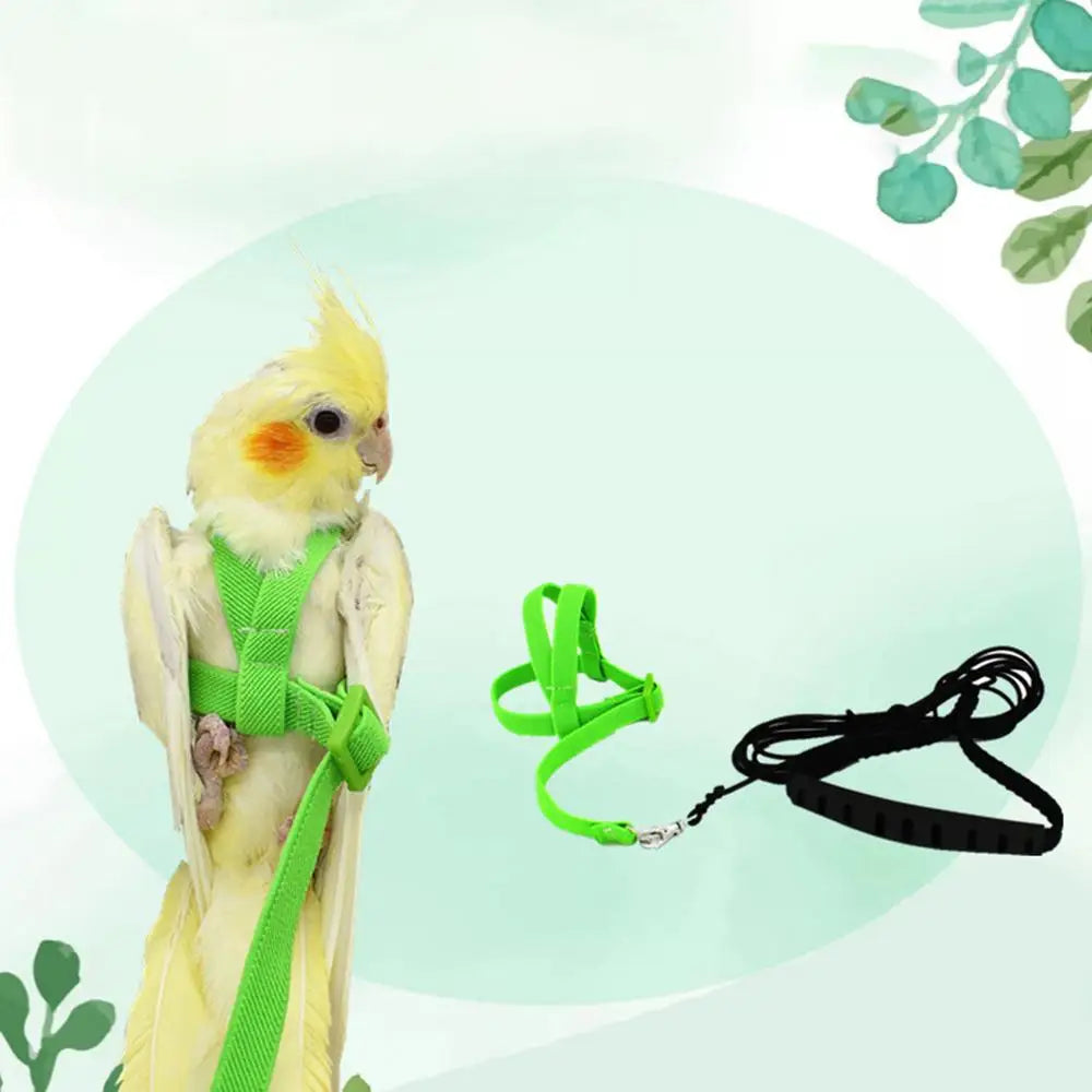 Pet Parrot Bird Harness And Leash Flying Rope Straps Outdoor Training Traction Rope For Budgerigar Cockatiel Supplies
