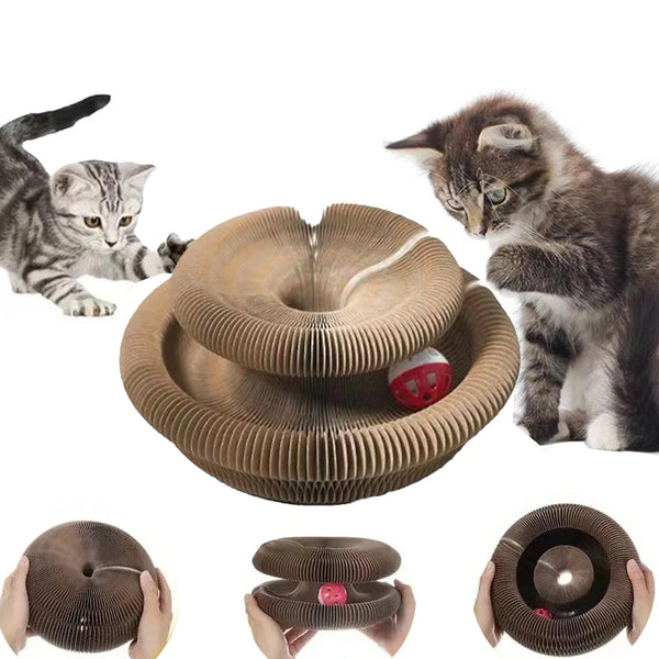 Interactive Cat Toy Ball Kitten Training Shapes For Cats