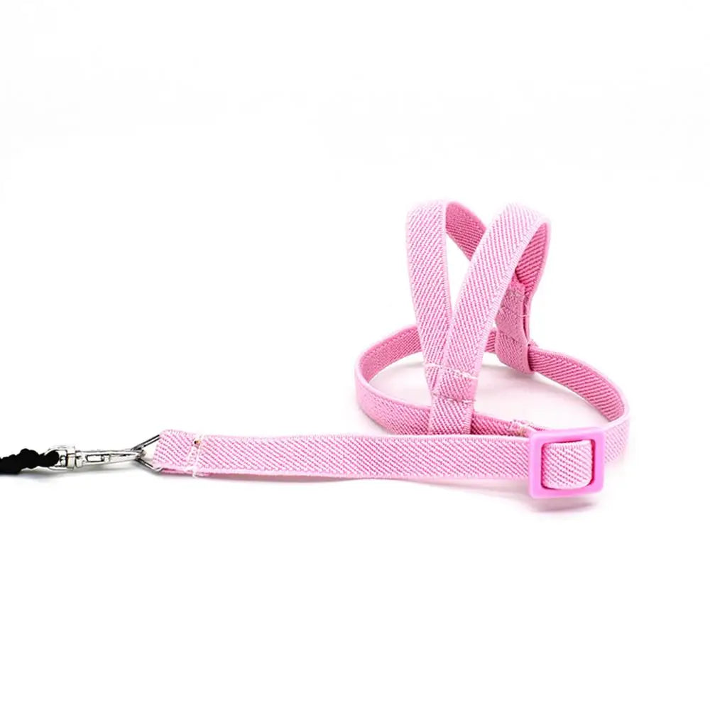 Pet Parrot Bird Harness And Leash Flying Rope Straps Outdoor Training Traction Rope For Budgerigar Cockatiel Supplies