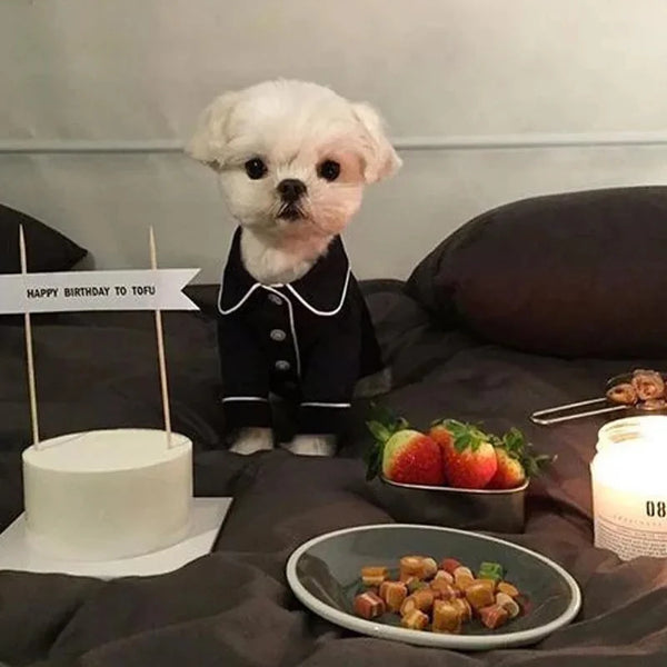 Soft Cotton Dog Pajamas Costume for Small Dogs