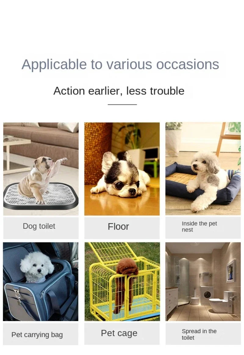 Basics Dog and Puppy Pee Pads, 5-Layer Leak-Proof Super Absorbent, Quick-Dry Surface, Potty Training, Regular