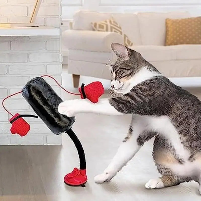 Portable Cat Punching Bag Toy Interactive Indoor Cats Kitten Toy With Gloves Cat Toy For Kitten Pet Cat Supplies