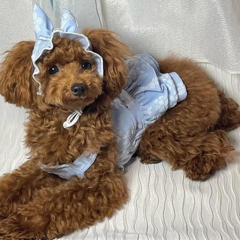 Cute Pet Spring and Summer Clothing Jumpsuit Cat Princess Embroidered Dress Hat Birthday Small Dog Teddy Bear Pet Clothing