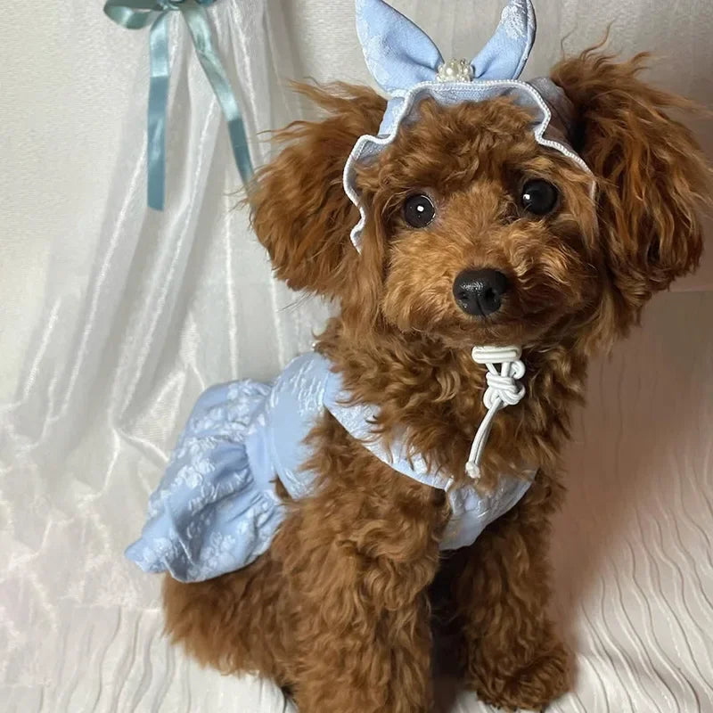 Cute Pet Spring and Summer Clothing Jumpsuit Cat Princess Embroidered Dress Hat Birthday Small Dog Teddy Bear Pet Clothing