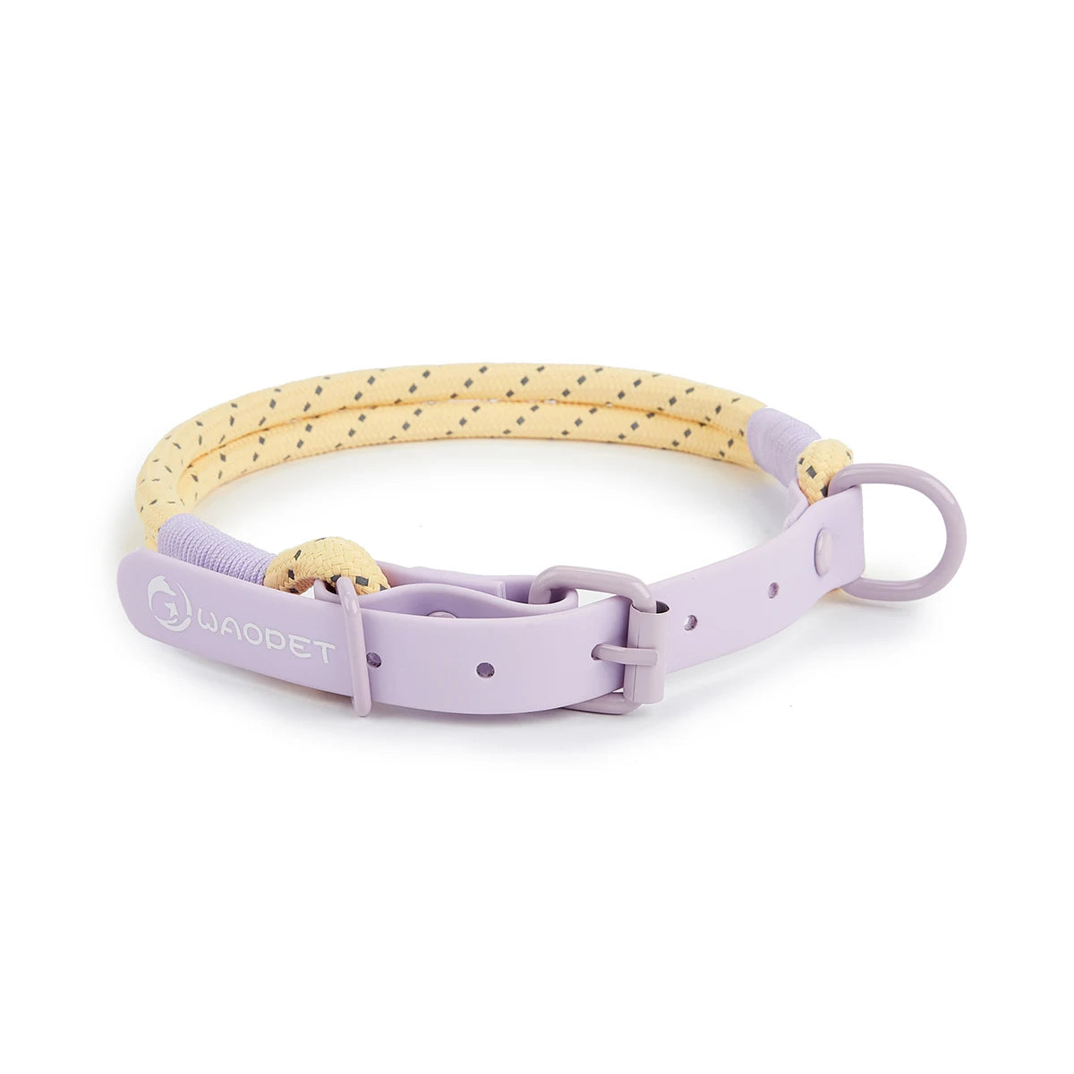 Pet Supplies Dog Collar For Small and Medium Dog Walking Sugar Color Series Cute style PVC Webbing Collar Leashes Set 2024 New