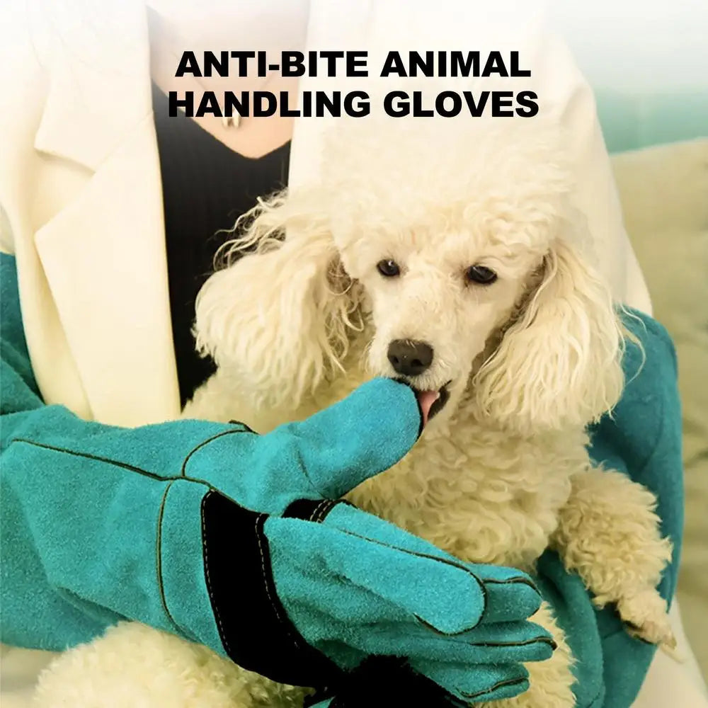 Pet Gloves Durable Anti-Bite Leather Protective Gloves Dog Cat Cutting-proof And Anti-thorn Animal Handling Supplies