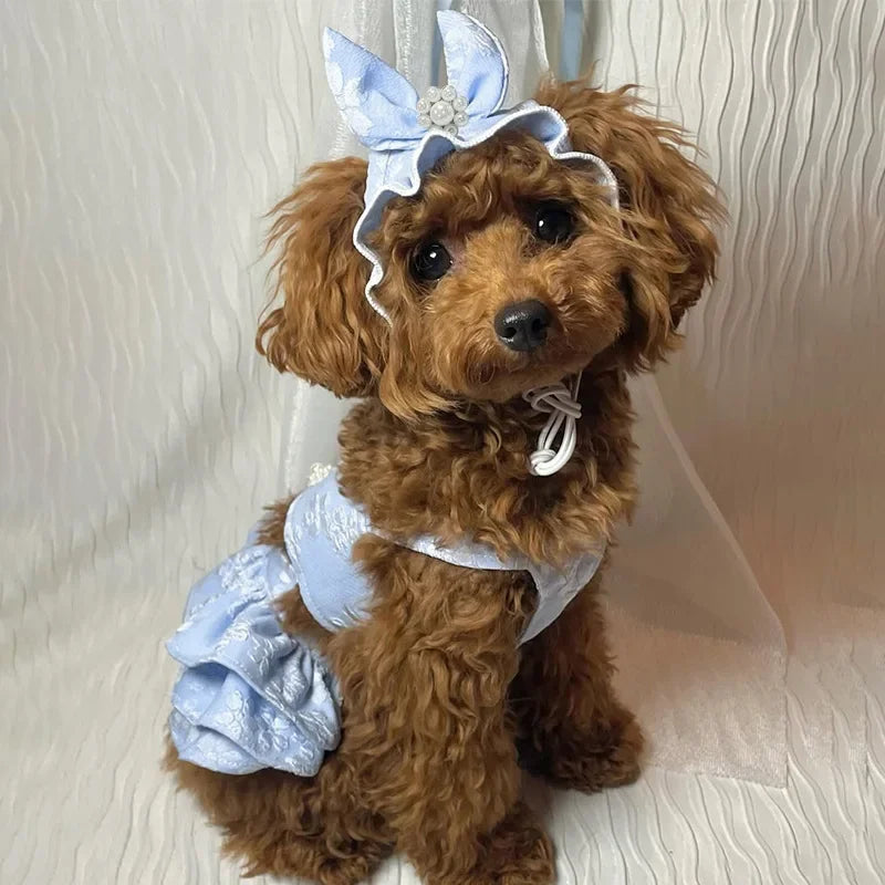 Cute Pet Spring and Summer Clothing Jumpsuit Cat Princess Embroidered Dress Hat Birthday Small Dog Teddy Bear Pet Clothing