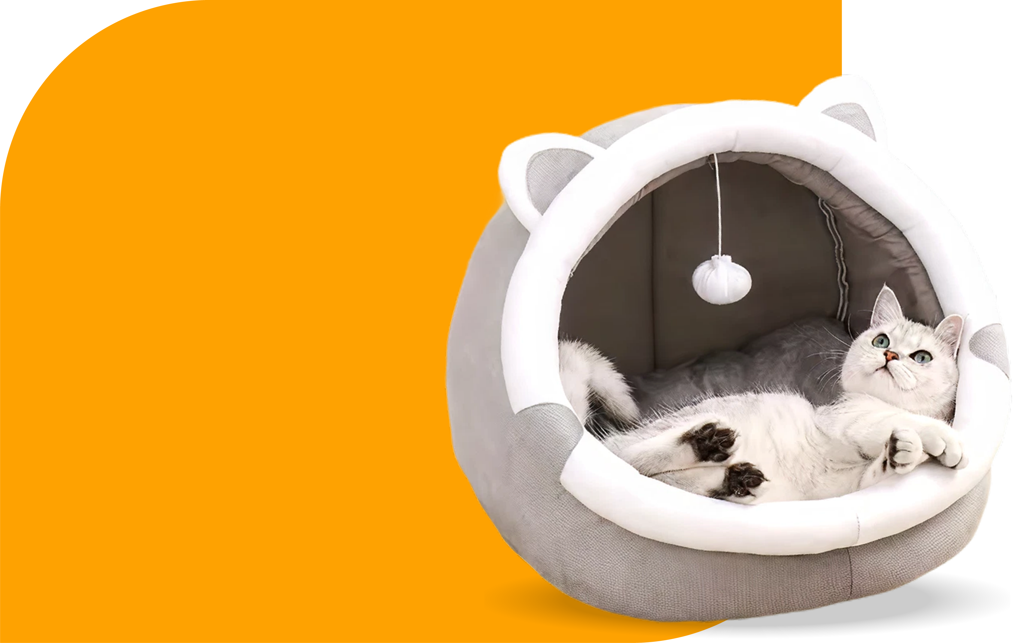 Paw Laces <br>  & Naptime <br> Nooks