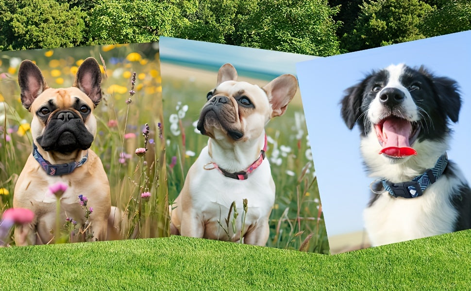 Adjustable Dog Collar with Leash Set, Comfortable Polyester Dog Collar for Small, Medium, Large Dogs, Durable D-Ring, Quick Release Buckle, Heat Transfer Pattern, Pet Supplies