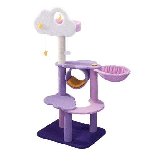 Hot Deal of the Week