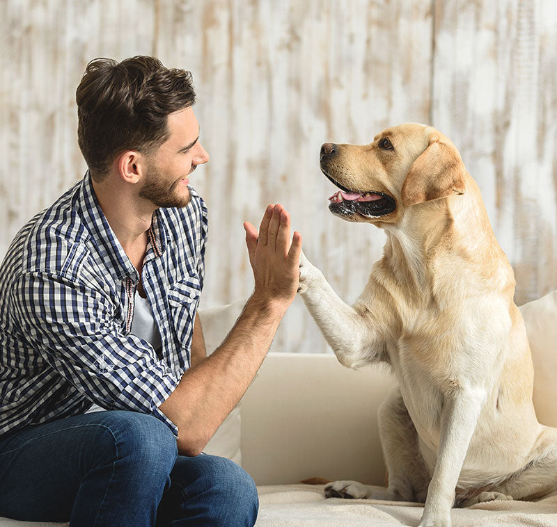 Training Made Simple