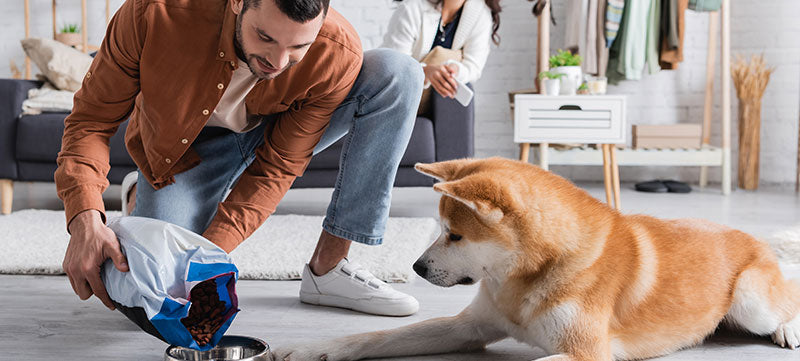 Training Made Simple